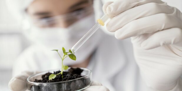 Top five reasons to study Natural Sciences in the Czech Republic