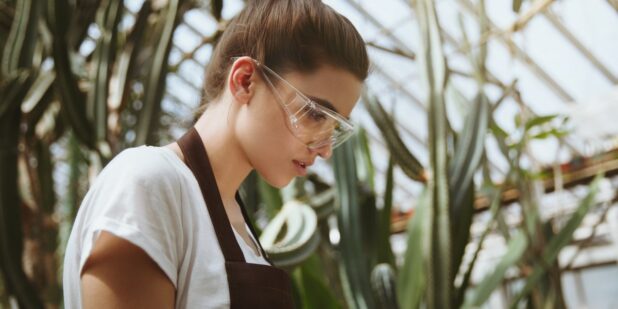 Ako si vybrať vysokú školu a odbor