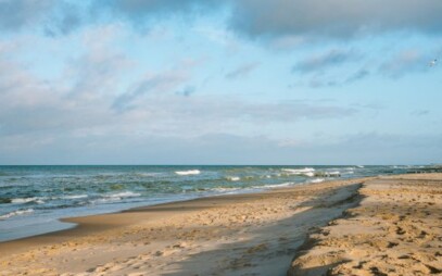 International Educational Program BIP Green Lagoon – Opportunity for FAPPZ Students