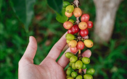 How a Cup of Coffee Can Change the World? Check an Episode of the “Podcast Full of Life” with Jiří Hejkrlík