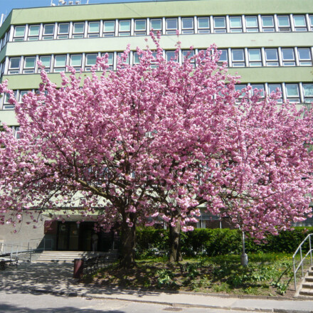 Faculty of AgriSciences - Mendel University in Brno - Czech Universities