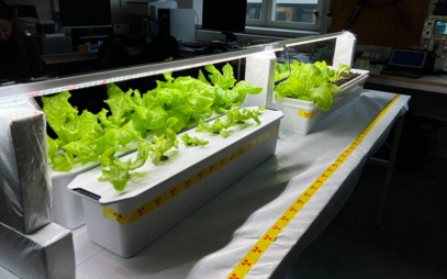 From a prestigious internship in Gothenburg, Sweden