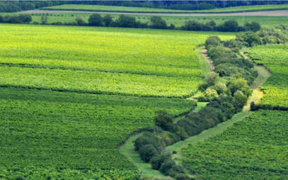 MENDELU participates in a project to support sustainability