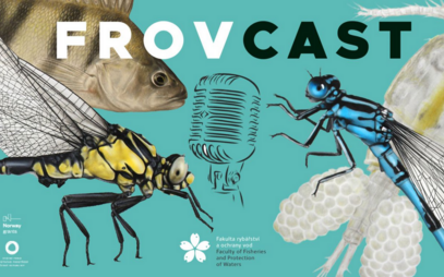 FROVcast 2 - Oceans are an empty refrigerator