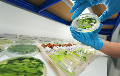 MENDELU has joined the space cluster, helping in the field of biotechnology