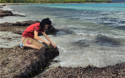Science team focuses on the decline of seagrasses, important ocean ecosystems