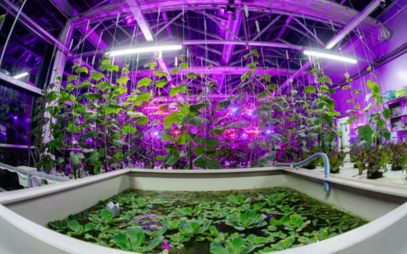 The University of South Bohemia welcomed visitors to the Researchers' Night