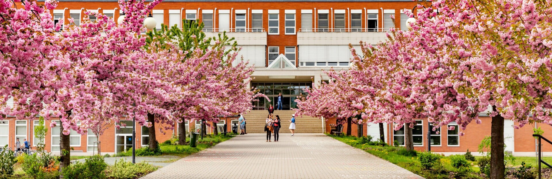 Faculty of Education (FE UHK)