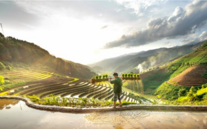 The CDAE “Curriculum Development In Agroecology” Project