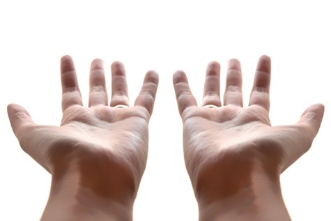 Při troše snahy vaše ruce nemusejí zůstat prázdné (foto: Stock.XCHNG