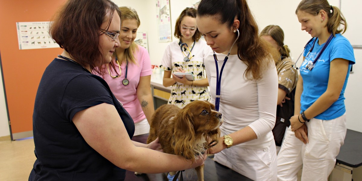 Fakulta veterinární hygieny a ekologie Veterinární univerzity Brno