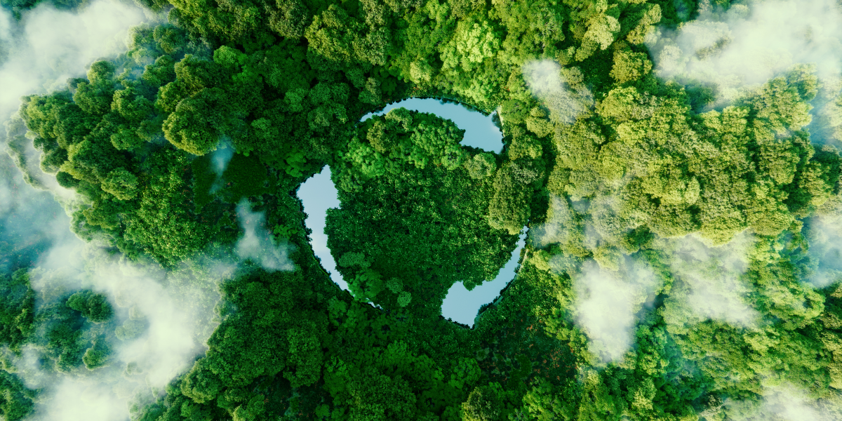 studium environmentalistiky