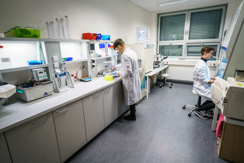 Fakulta biomedicínského inženýrství