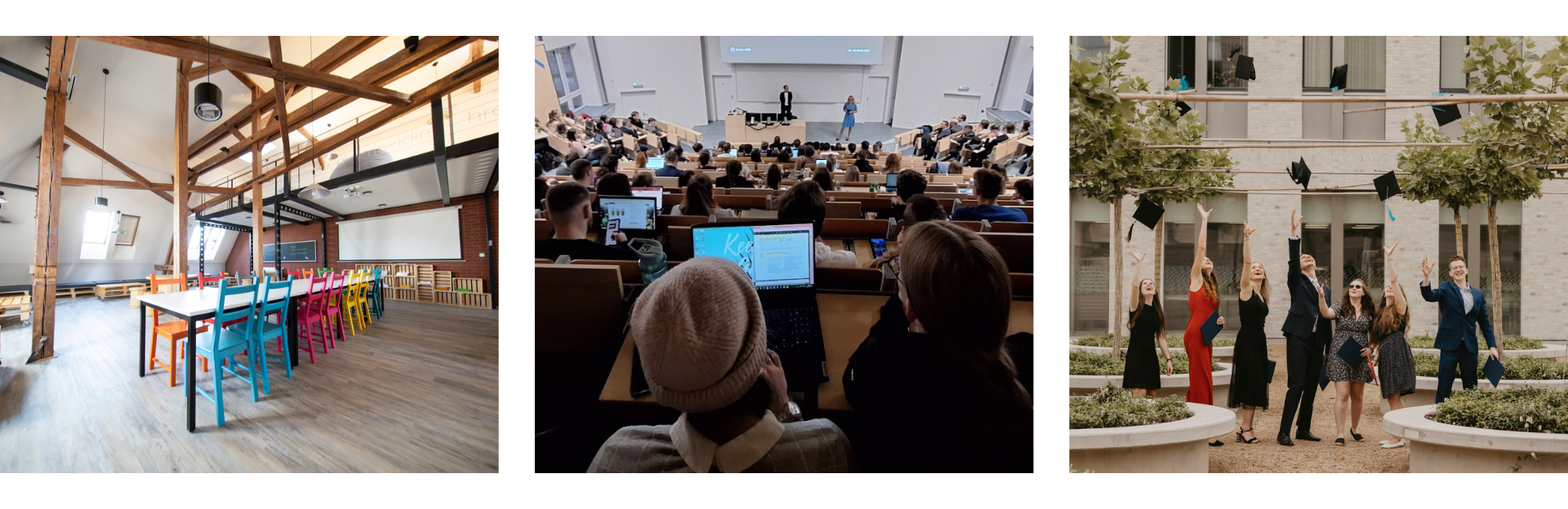 Fakulta sociálně ekonomická (FSE&nbsp;UJEP)