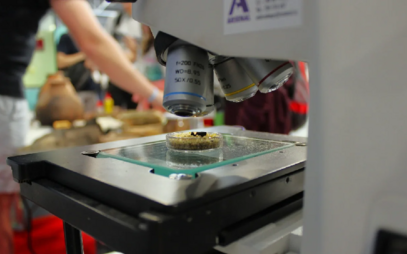 Jihočeská univerzita na Veletrhu vědy 2025