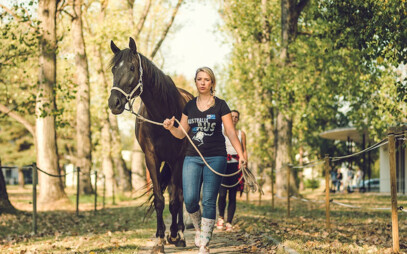 Fakulta zemědělská a technologická
