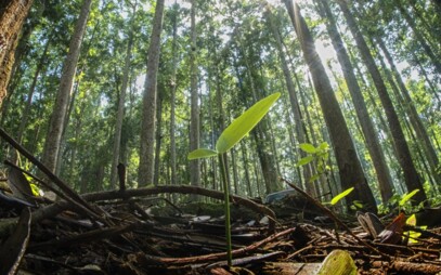 Přírodovědecká fakulta