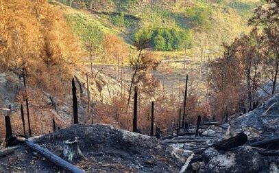 Nový studijní program Obnova krajiny