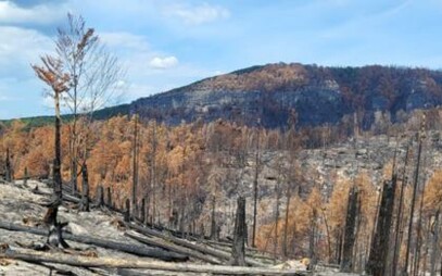Landscape reclamation and ecosystem services (obnova krajiny a ekosystémové služby)