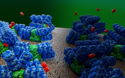 Jihočeští vědci se podíleli na významném objevu