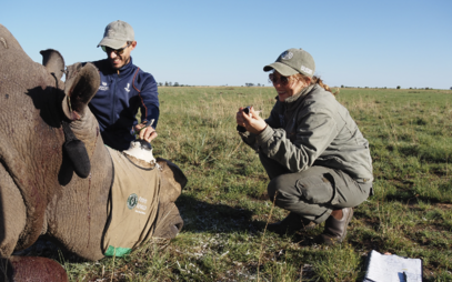 Příběh absolventky: Kam vás může zavést studium na FTZ ČZU: od Prahy k ochraně přírody v Africe