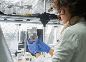 Projekt RETEMED: Biotechnologie, které mění medicínu