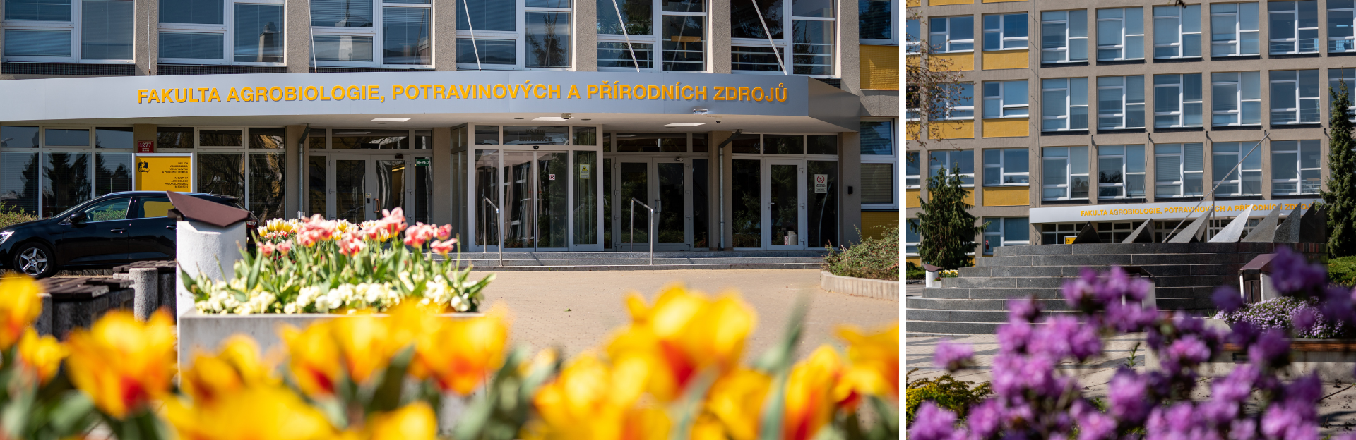Fakulta agrobiologie, potravinových a přírodních zdrojů (FAPPZ&nbsp;ČZU)