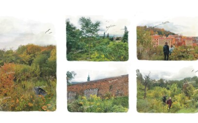 Krajinářské architektky uspěly v mezinárodní soutěži