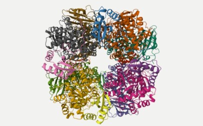 Studuj bioinformatiku na FI!
