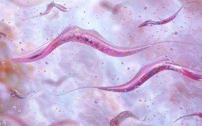 V Ostravě vznikne špičková virologická laboratoř