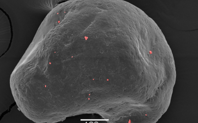 AI od studenta FIT ČVUT pomáhá vědcům zkoumat vývoj krajiny