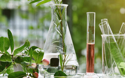 Nový studijní program Fytochemie připraví odborníky na obsahové látky rostlin