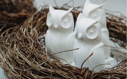 Nejvyšší fakultní ocenění získal výzkum lidových nástrojů Lužických Srbů