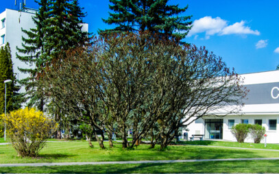 Vysoká škola technická a ekonomická v Českých Budějovicích