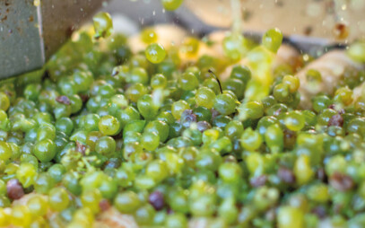 Zahradnická fakulta