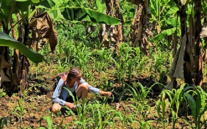 Fakulta tropického zemědělství