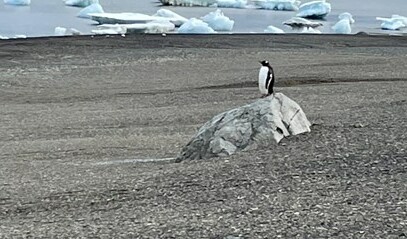 Vědecká expedice Masarykovy univerzity – skupina MENDEL – se úspěšně vylodila na ostrově Jamese Rosse v Antarktidě