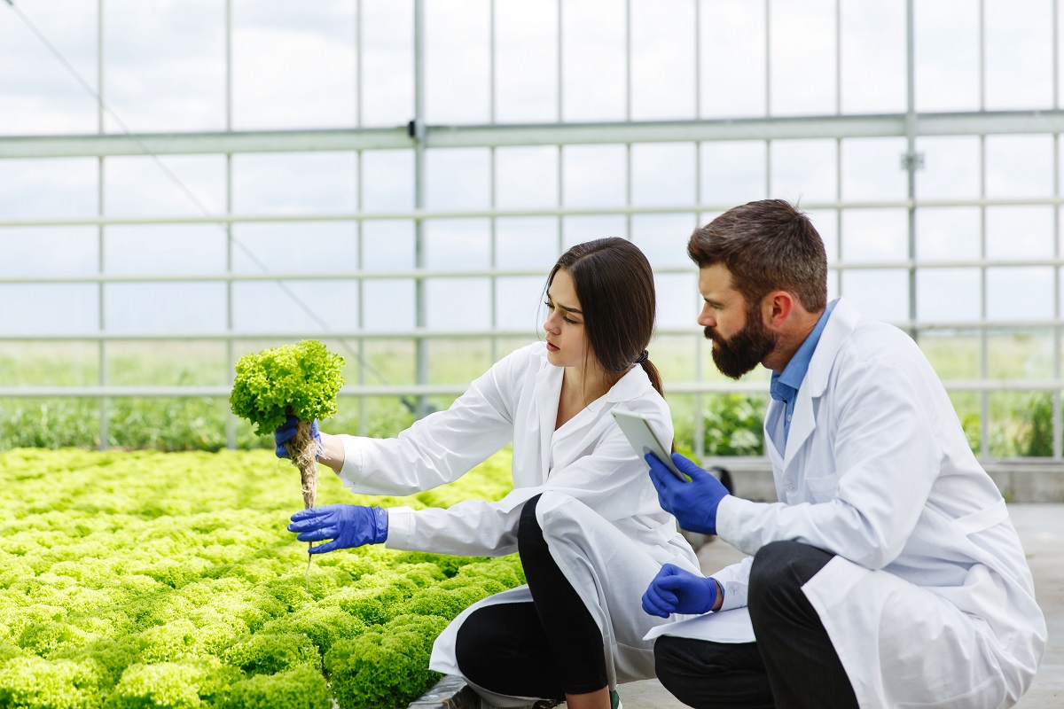 Woman and man in laboratory robes examine carefully plants in th