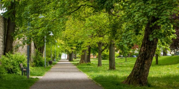 Místa v Olomouci, která by měl znát každý student