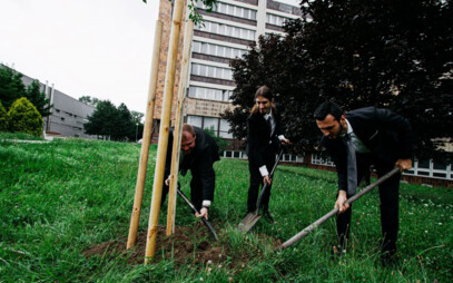 Strom absolventov 2020