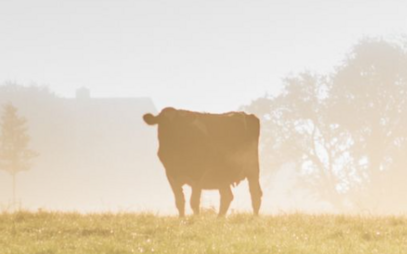 Agrofilm 2025 na UKF