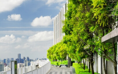 Sobáš matematiky s prírodou?