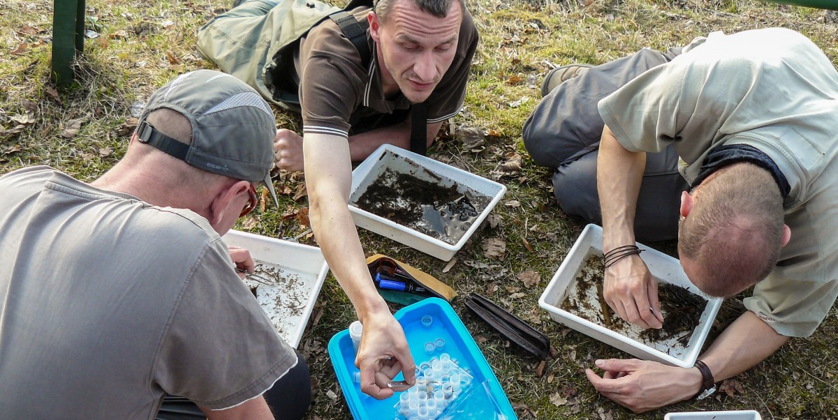 Fakulta ekológie a environmentalistiky Technickej univerzity vo Zvolene